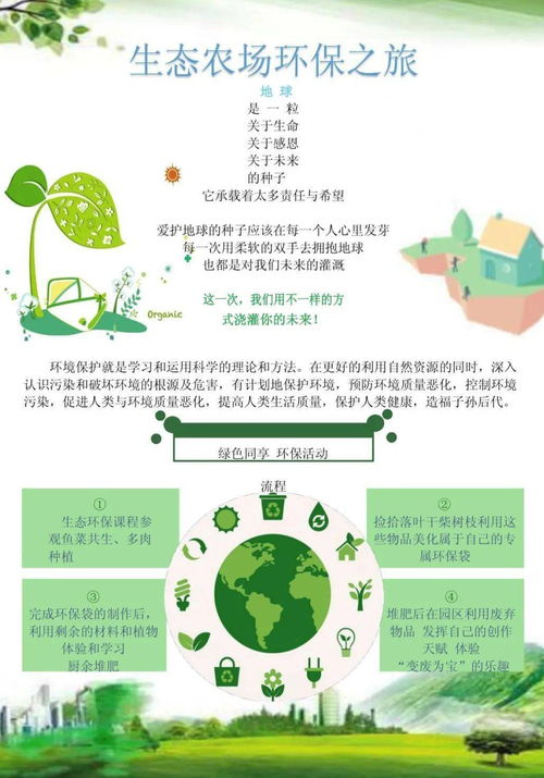 秋游自然科普课 变废为宝，自制水净化系统探秘
